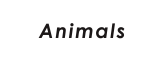 ANIMALS