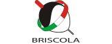 Briscola