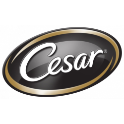 Cesar