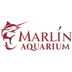 Marlin Aquarium