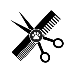 Pet Comb