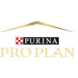Pro Plan