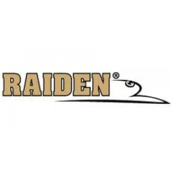 Raiden