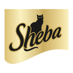 Sheba