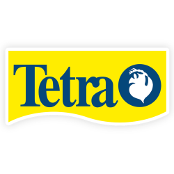 Tetra