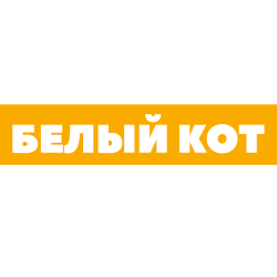 Белый кот
