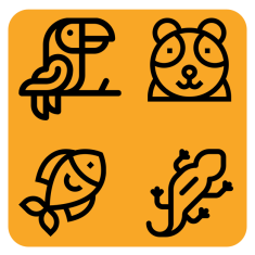 Рыбки, грызуны, попугаи, рептилии