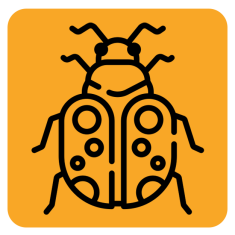 От блох и клещей