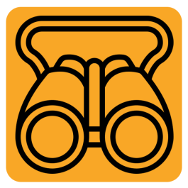 Бинокли и монокли