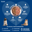 100гр Влажный корм MONGE DOG FRUIT для взрослых собак с Уткой и Апельсином
