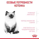 10кг Корм ROYAL CANIN Kitten для котят до с 4 до 12 месяцев