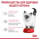 10кг Корм ROYAL CANIN Kitten для котят до с 4 до 12 месяцев