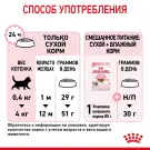 10кг Корм ROYAL CANIN Kitten для котят до с 4 до 12 месяцев