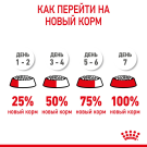10кг Корм ROYAL CANIN Kitten для котят до с 4 до 12 месяцев
