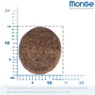 12кг Monge Dog BWild Grain Free для взрослых собак с уткой и картофелем