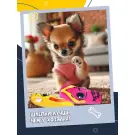 Набор игрушек Fancy Pets для собак Шлёпки с пищалкой и шуршалкой