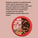 6кг Корм Primordial Holistic Grain-Free Cat Kitten Duck & Turkey для котят с Уткой и индейкой