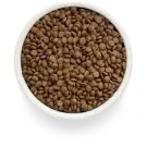 2кг Корм GRANDORF CAT Fresh Turkey&Sweet Potato Adult Sterilised беззерновой гипоаллергенный для взрослых стерилизованных кошек, Индейка с Батато