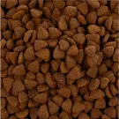 15кг Gemon Dog Adult PORK / RICE со свининой и рисом для взрослых собак