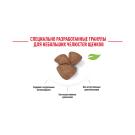 Корм в развес ROYAL CANIN Mini Puppy для щенков мелких пород с 2 до 10мес, 1кг