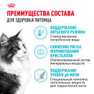 0,4кг Корм ROYAL CANIN Urinary Care для взрослых кошек для профилактики мочекаменной болезни