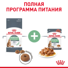 2кг Корм ROYAL CANIN Digestive Care для взрослых кошек с чувствительным пищеварением