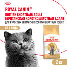 2кг Корм ROYAL CANIN British Shorthair Adult для взрослых Британских короткошерстных кошек с 12 месяцев