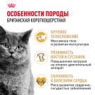 2кг Корм ROYAL CANIN British Shorthair Adult для взрослых Британских короткошерстных кошек с 12 месяцев