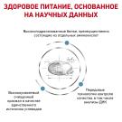 2кг Корм ROYAL CANIN Anallergenic Feline диета для взрослых кошек при пищевой аллергии или непереносимости корма