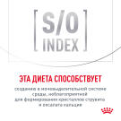 85гр Влажный корм ROYAL CANIN Gastrointestinal диета для взрослых кошек при нарушении пищеварения (пауч)