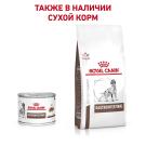 400гр Консервы ROYAL CANIN Gastrointestinal диета для взрослых собак при нарушении пищеварения, паштет