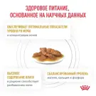 85гр Влажный корм ROYAL CANIN Urinary S/O диета для взрослых кошек при заболеваниях мочевыводящих путей, в соусе (пауч)