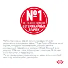 85гр Влажный корм ROYAL CANIN Urinary S/O диета для взрослых кошек при заболеваниях мочевыводящих путей, в соусе (пауч)