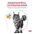 85гр Влажный корм ROYAL CANIN Urinary S/O диета для взрослых кошек при заболеваниях мочевыводящих путей, в соусе (пауч)
