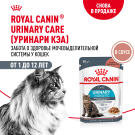 85гр Влажный корм ROYAL CANIN Urinary Care для взрослых кошек для профилактики мочекаменной болезни (пауч)