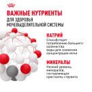85гр Влажный корм ROYAL CANIN Urinary Care для взрослых кошек для профилактики мочекаменной болезни (пауч)