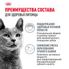 1,5кг Корм ROYAL CANIN Dental Care для кошек, профилактика образования зубного налета