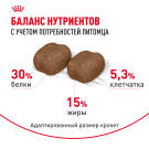 1,5кг Корм ROYAL CANIN Dental Care для кошек, профилактика образования зубного налета