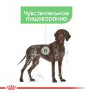 85гр Влажный корм ROYAL CANIN Digestive Care для взрослых собак с чувствительным пищеварением, паштет (пауч)
