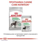 85гр Влажный корм ROYAL CANIN Digestive Care для взрослых собак с чувствительным пищеварением, паштет (пауч)