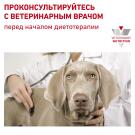 12кг Корм ROYAL CANIN Mobility C2P+ диета для взрослых собак при заболеваниях опорно-двигательного аппарата