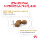1,5кг Корм ROYAL CANIN Urinary S/O диета для взрослых кошек при лечении и профилактике мочекаменной болезни