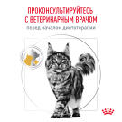 1,5кг Корм ROYAL CANIN Urinary S/O диета для взрослых кошек при лечении и профилактике мочекаменной болезни