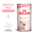0,3кг Заменитель молока ROYAL CANIN Babycat Milk для котят от рождения до отъема (0-2 месяца)