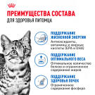 85гр Влажный корм ROYAL CANIN INDOOR STERILISED +7 in GRAVY для взрослых домашних стерилизованных кошек старше 7 лет, в соусе (пауч)