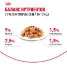 85гр Влажный корм ROYAL CANIN Sterilised для взрослых стерилизованных кошек старше 1 года, в желе (пауч)