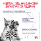 85г Влажный корм ROYAL CANIN Neutered Adult Maintenance диета для взрослых котов и кошек с момента стерилизации, в соусе (пауч)