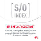 85г Влажный корм ROYAL CANIN Neutered Adult Maintenance диета для взрослых котов и кошек с момента стерилизации, в соусе (пауч)