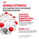 2кг Корм ROYAL CANIN Hairball для взрослых кошек, профилактика образования волосяных комочков