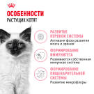 2кг Корм ROYAL CANIN Kitten для котят до с 4 до 12 месяцев